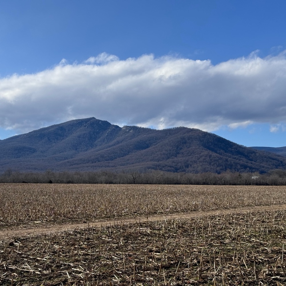 Cancellations Accepted!! 💥😎🙌🏽✌🏽